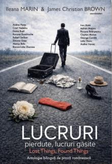 Lost Things, Found Things Book Cover