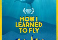 Girl swimming underwater. "How I Learned to Fly"